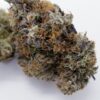 White Widow kannabis Myynnissä